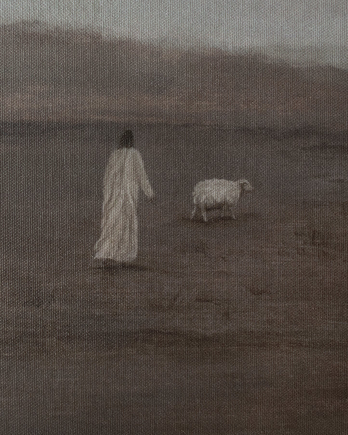 Lamb Of God